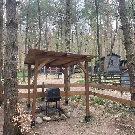 Eco Kaszubek *